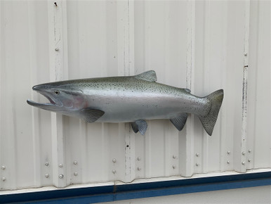 35 Inch Steelhead Trout Fish Mount Replica Reproduction For Sale