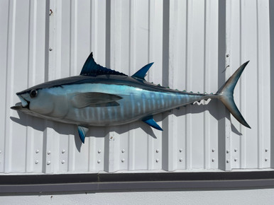 tuna-bluefin-48-hm-