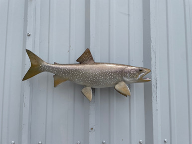 In Stock 24 Inch Lake Trout Fish Mount Replica Reproduction For Sale