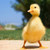 Test image