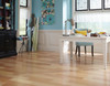 Natural Room Scene