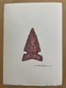 Arrow Head- Signed by Martina Hinson |By the Case- 100 per case| 