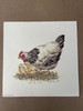 Mama Hen- Signed by Mary Fyne |By the Case-161 per Case| 
