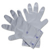 Honeywell North SSG/10 SilverShield Chemical-Resistant Gloves XL (20-Pack)