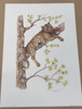 Vintage Art Print- Leopard- Signed by Martha Hinson |By the Case- 197|