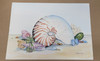 Vintage Art Print- Nautilus- Signed by Linda Lord |By the Case-117|