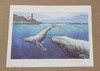 Vintage Art Print- Humpbacks, Two- Signed By G. Markovich | By the Case- 100|