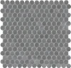 STAINLESS STEEL PENNY ROUND GLOSSY MOSAIC