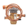 Source 1 - Thermostatic Expansion Valve