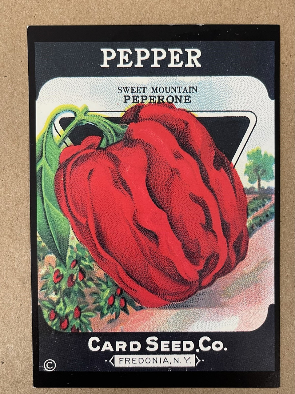 Pepper |By the Case- 100 per Case| 