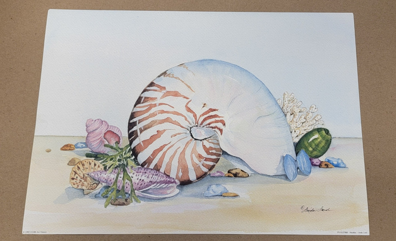 Vintage Art Print- Nautilus- Signed by Linda Lord |By the Case-117|