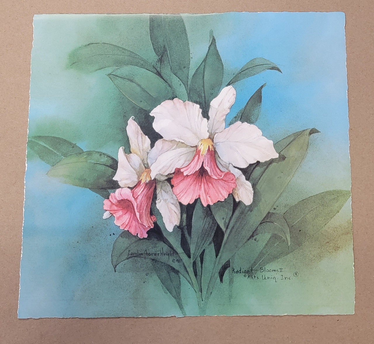 Vintage Art Print- Radiant Blooms II- Signed by Carolyn Shores- Wright | By the Case- 100|