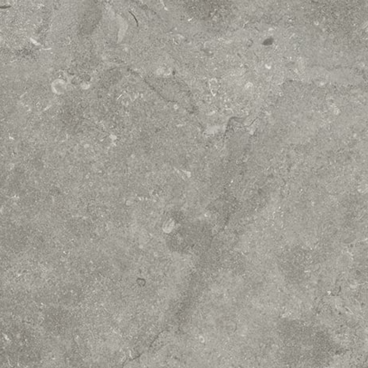 EcoStone Fossil Cross Cut 12x24 Porcelain Tile
