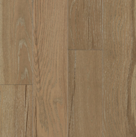 Bruce Interior Landscape Cozy Haven