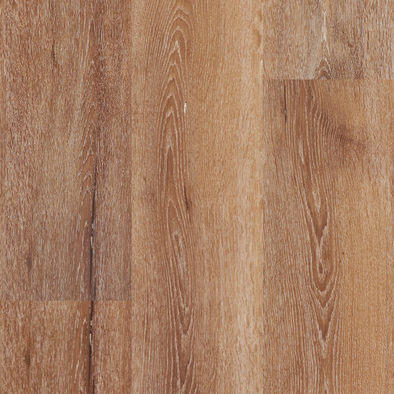 AbbeyGrace_DunnFalls_CloseUp__