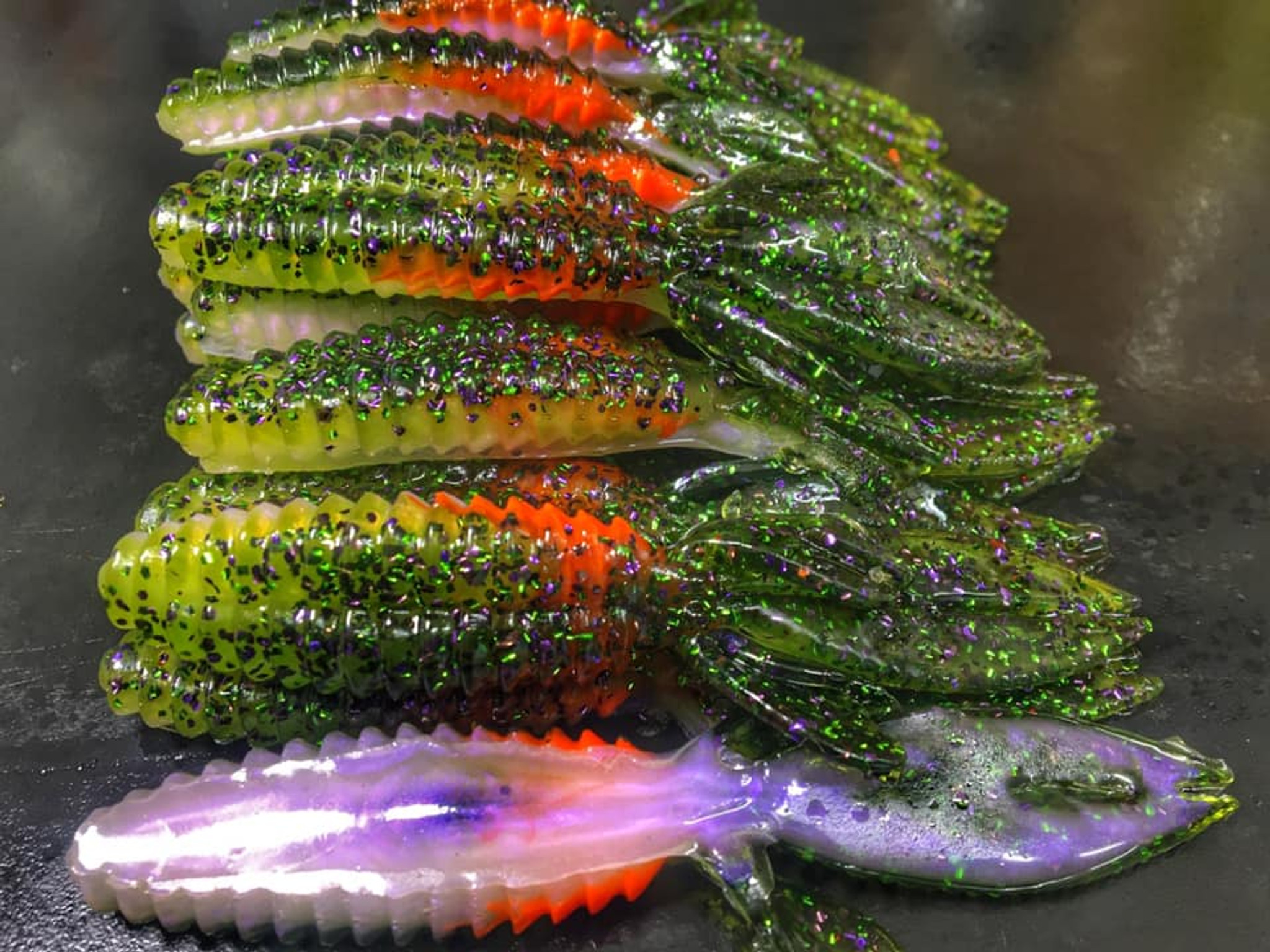 4.5 Beaver Color: Live Bluegill 30 count pack (Pre Order 2-3 Weeks) - Paul  Krew Custom Baits