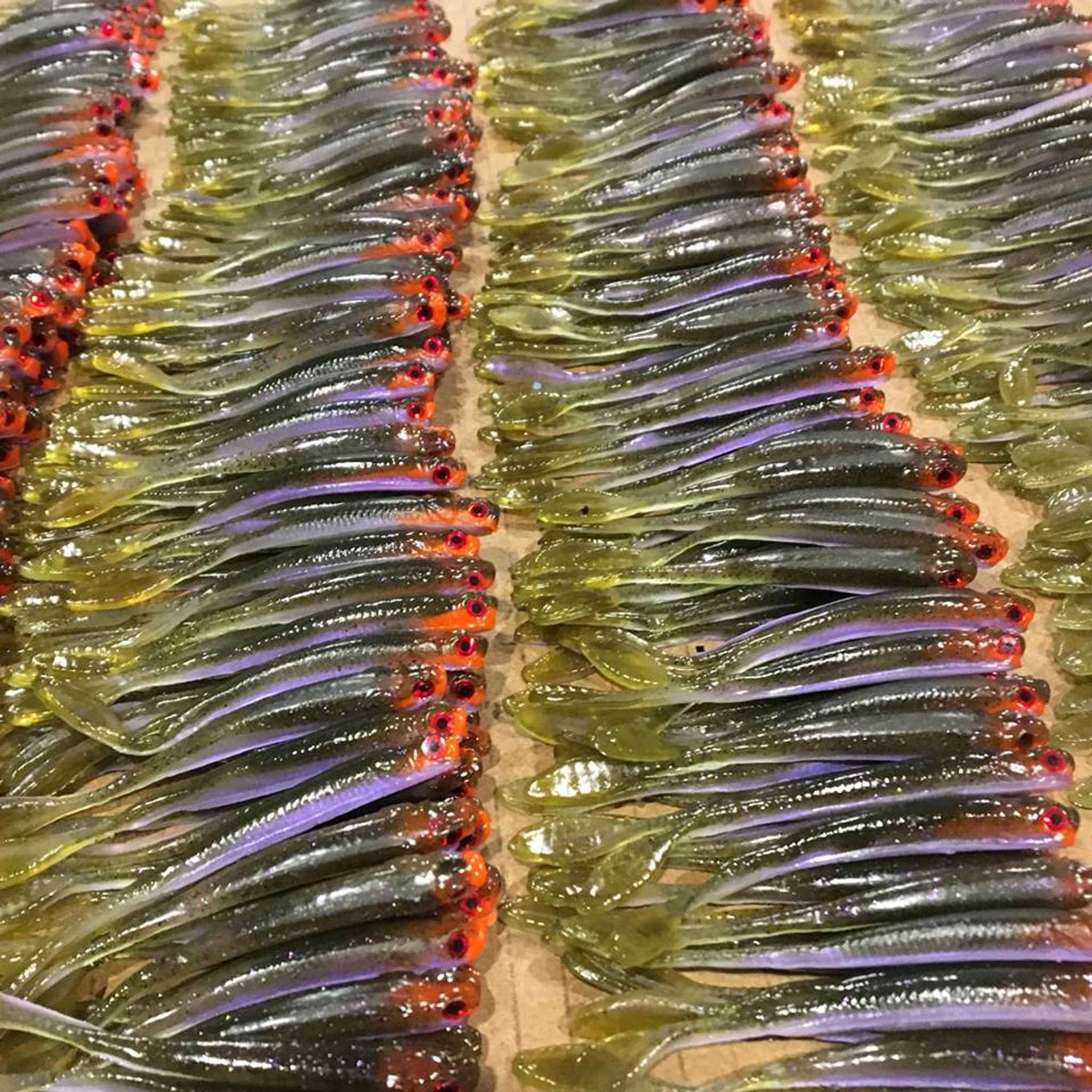 3.5" Drop Shot Minnow Color Live Bluegill 60 count pack (Pre Order 23