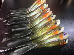 4in 5 Pack Custom Split Tail Minnows - Seafoam Chartreuse Perch