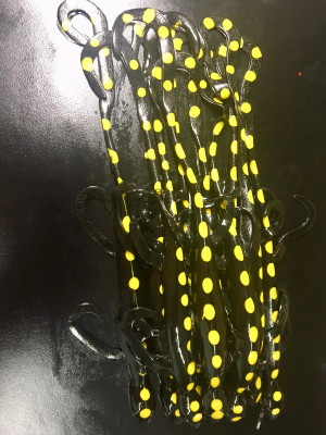 11.5" Goliath Lizard Color: Black Yellow Dots 5 count pack (Pre Order 2-3 Weeks)
