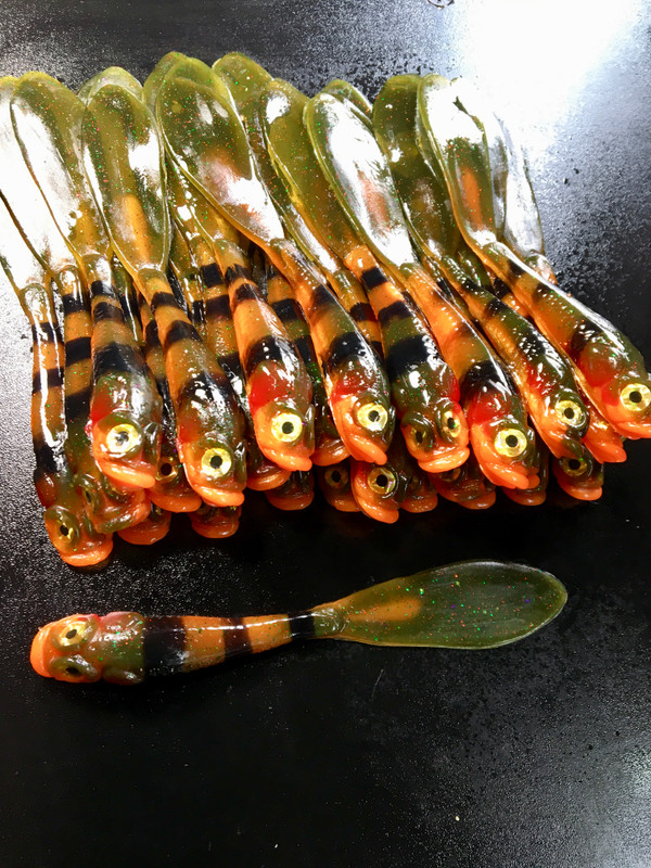 5" Nitrous Minnow PADDLE TAIL Color: Bright Perch 25 count pack  (Pre Order 2-3 Weeks)
