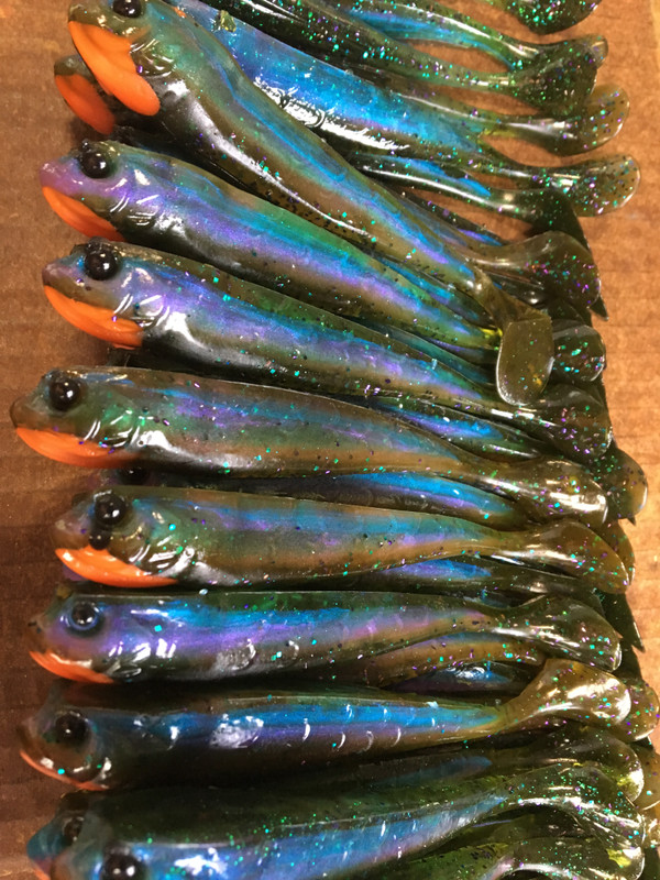 5.5 Slick Swimbait Color: Magic Gill! 10 count pack  (Pre Order 2-3 Weeks)