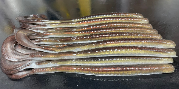 6.5" KREW Hook Tail Worm Color: Natural Shad  25 Count Pack  (Pre Order 2-3 Weeks)