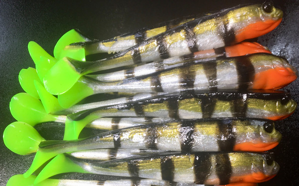 Limited Run* 5.5 Slick Swimbait Color: Natural Perch 10 count pack