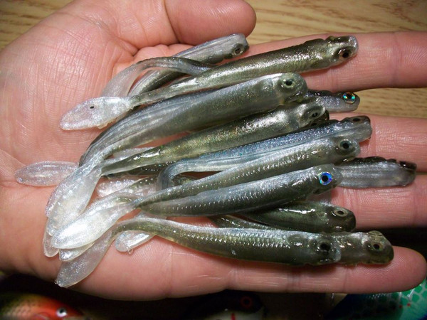 Paul krew custom baits Clearance