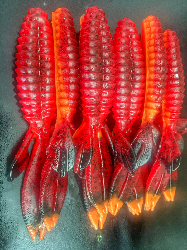 4.5 Beaver Color: Fire Craw 30 count pack (Pre Order 2-3 Weeks)