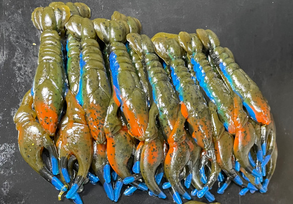 3.5" Live NEKO / Ned Rig Craw Color: Neon Blue Craw Tips 30 count pack (Pre Order 2-3 Weeks)