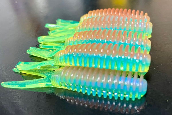 2.5" V-Tail Minnow Color: Clown 25 Count Pack  (Pre Order 2-3 Weeks)