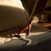 AirFit P10 Nasal Pillow Mask For Her Starter Pack