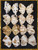 Gold Rush Collection