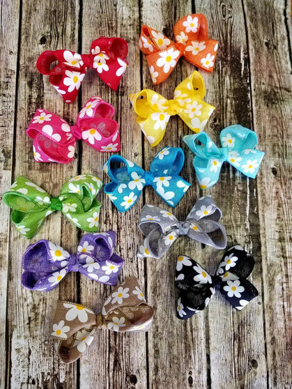 Large Daisy Collection