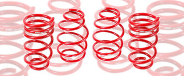 Lowering Springs