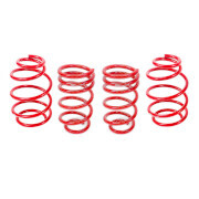 Lowering Springs