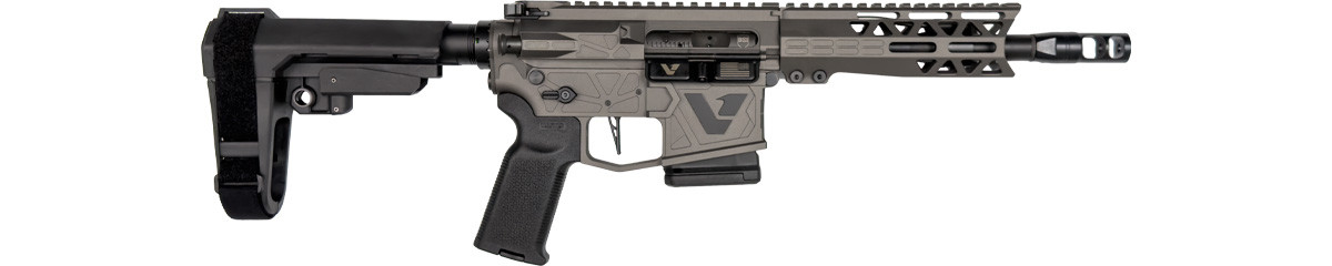 DS-15 Variant 1 Fixed Magazine Pistol