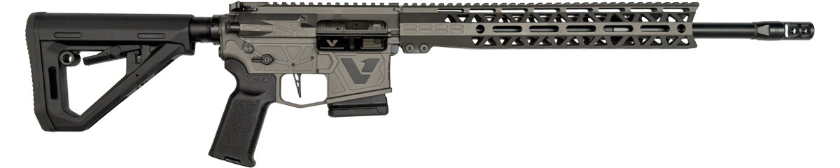 DS-15 Variant 1 Fixed Magazine Rifle