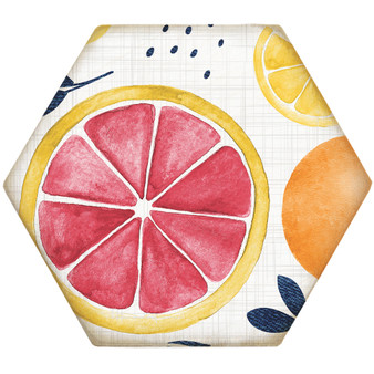 Fruit Grapefruits - Magnetic Honeycomb Coasters