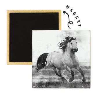 B&W Horse - Square Magnets