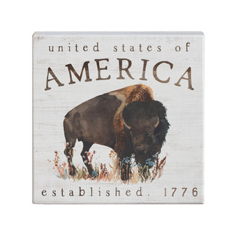 America Buffalo - Small Talk Square