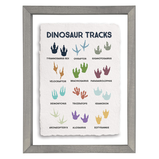 Dinosaur Tracks - Floating Art Rectangle