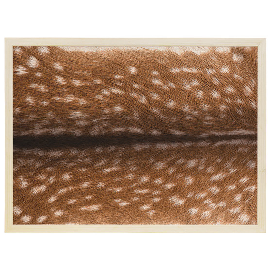 Axis Deer Hide - Thin Frame Rectangle