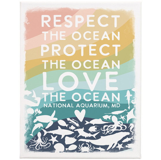 Respect The Ocean PER 9x12 - Wrapped Canvas