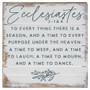 Ecclesiastes 3:1&4 - Perfect Pallet Petite