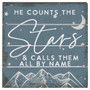 Counts The Stars - Perfect Pallet Petite