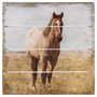 Watercolor Horse 6x6 - Perfect Pallet Petites