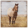 Watercolor Horse 8x8 - Perfect Pallet Petites