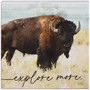 Explore More Bison - Small Talk Square