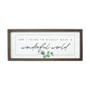 Wonderful World - Farmhouse Frame